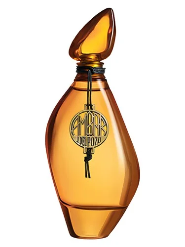Frasco do perfume Jesus Del Pozo Ambar