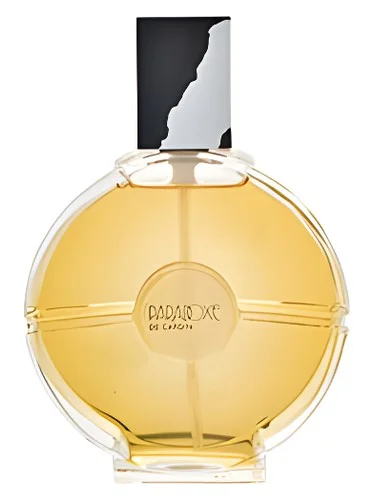 Frasco do perfume Pierre Cardin Paradoxe
